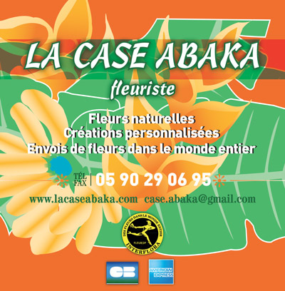 LA-CASE-ABAKA_Large-Internet-sxm
