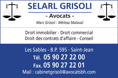 Selarl-grisoli-internet-petit