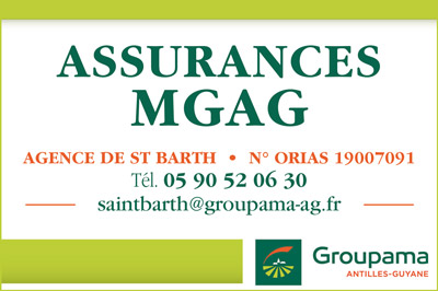 ASSURANCES-MGAG-Small-Internet