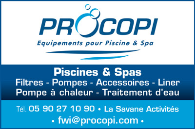 PROCOPI_Small-Internet
