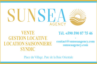 Agence-Sunsea-Petit-internet