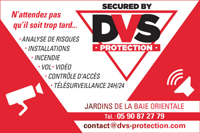 DVS-PROTECTION-INTERNET-2020